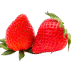fruit_6spng