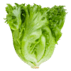 veg_4